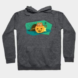 Cat in Fear on Pumpkin Halloween design Hoodie